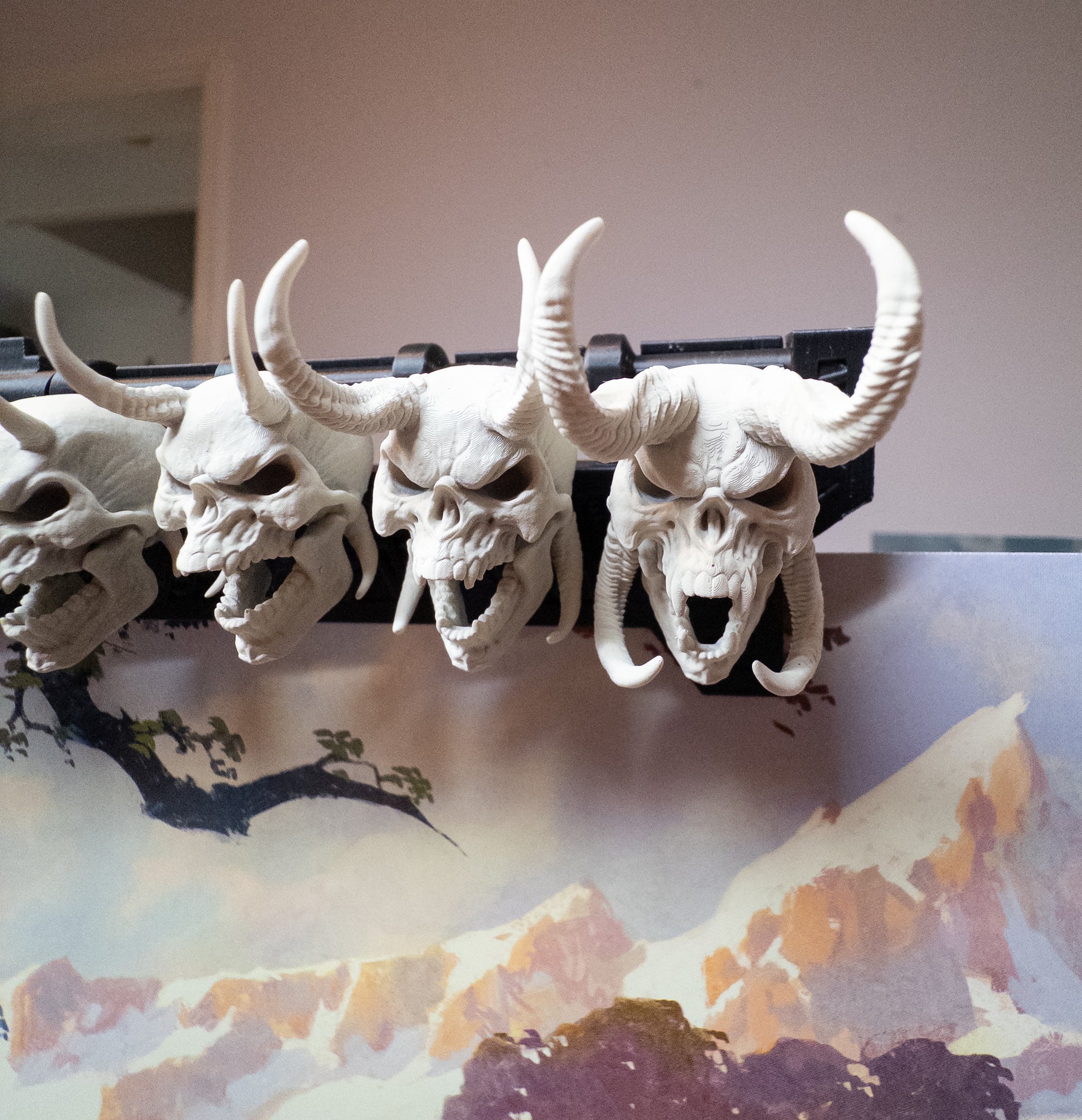 Skull Close up - Max Fear