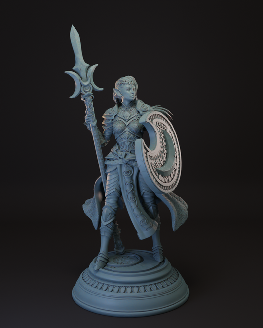 Elf | Half-Elf Female Cleric | Paladin | Fighter -Ninera- Tabletop Miniature