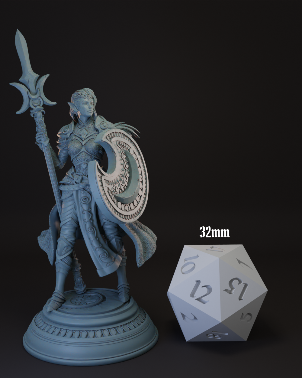 Elf | Half-Elf Female Cleric | Paladin | Fighter -Ninera- Tabletop Miniature