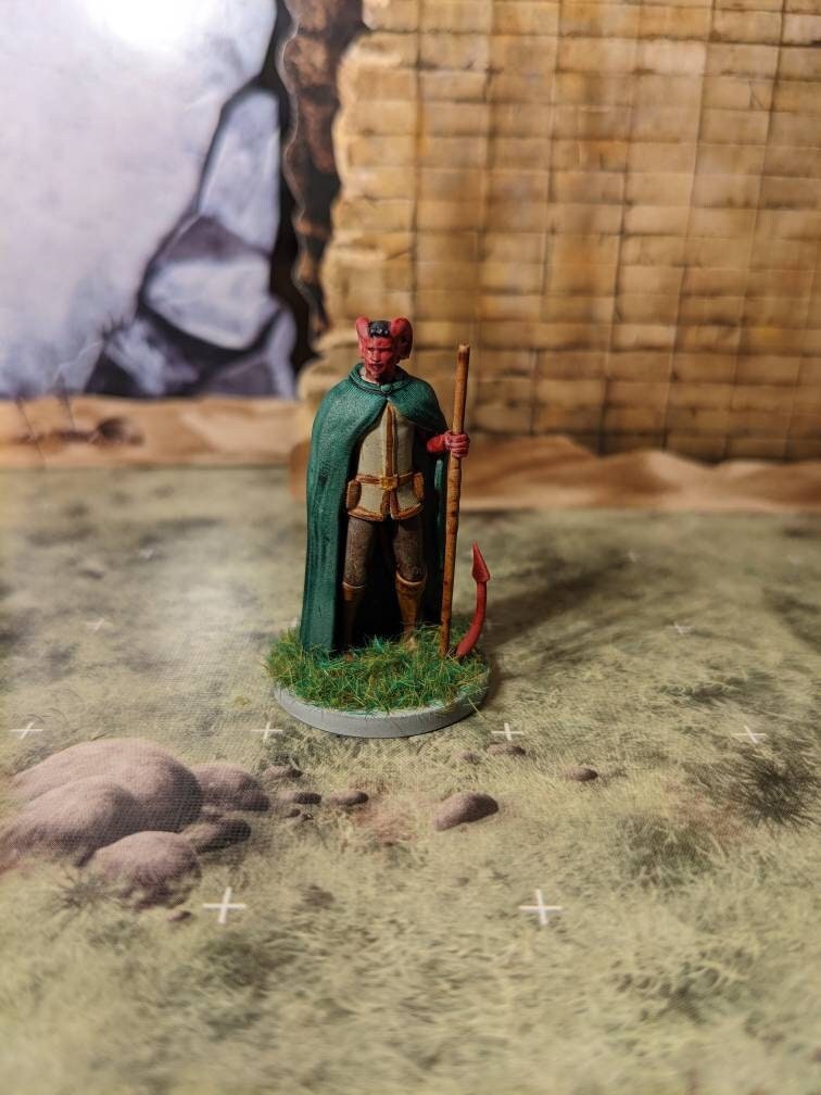 Tiefling Male Druid | Monk Tabletop Miniature for Dungeons and Dragons | Pathfinder | TTRPG