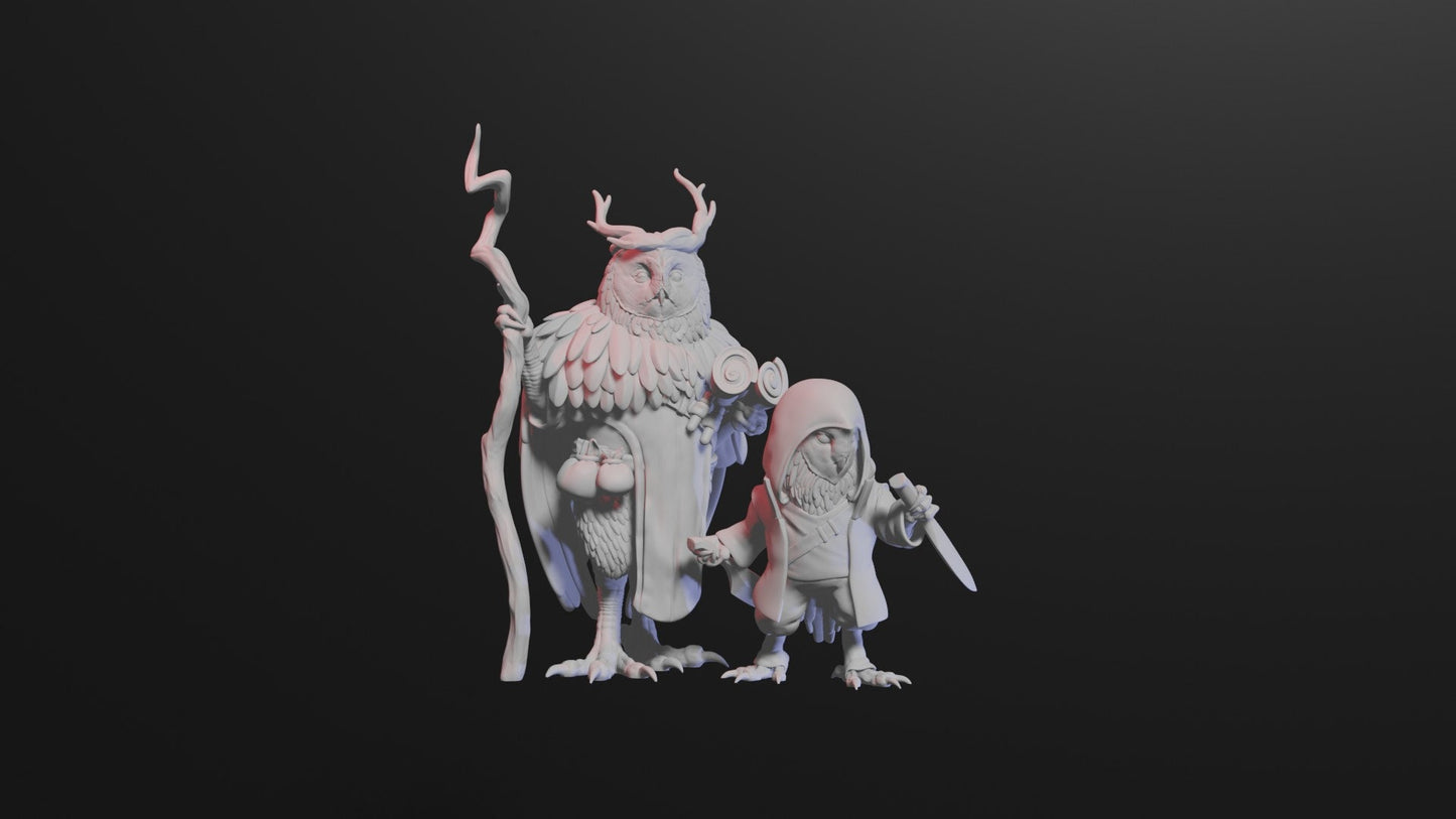 Owlin | Owlrakokra | Owlfolk | Aarakokra Rogue | Assassin | Thief Tabletop Miniature for Dungeons and Dragons | Pathfinder | DND