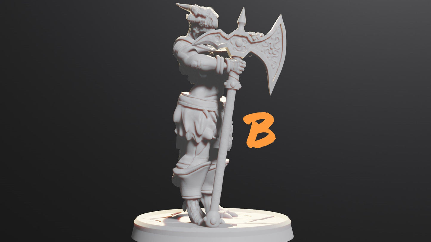 Dragonborn Female Barbarian | Fighter Tabletop Miniature for Dungeons and Dragons | Pathfinder | DND