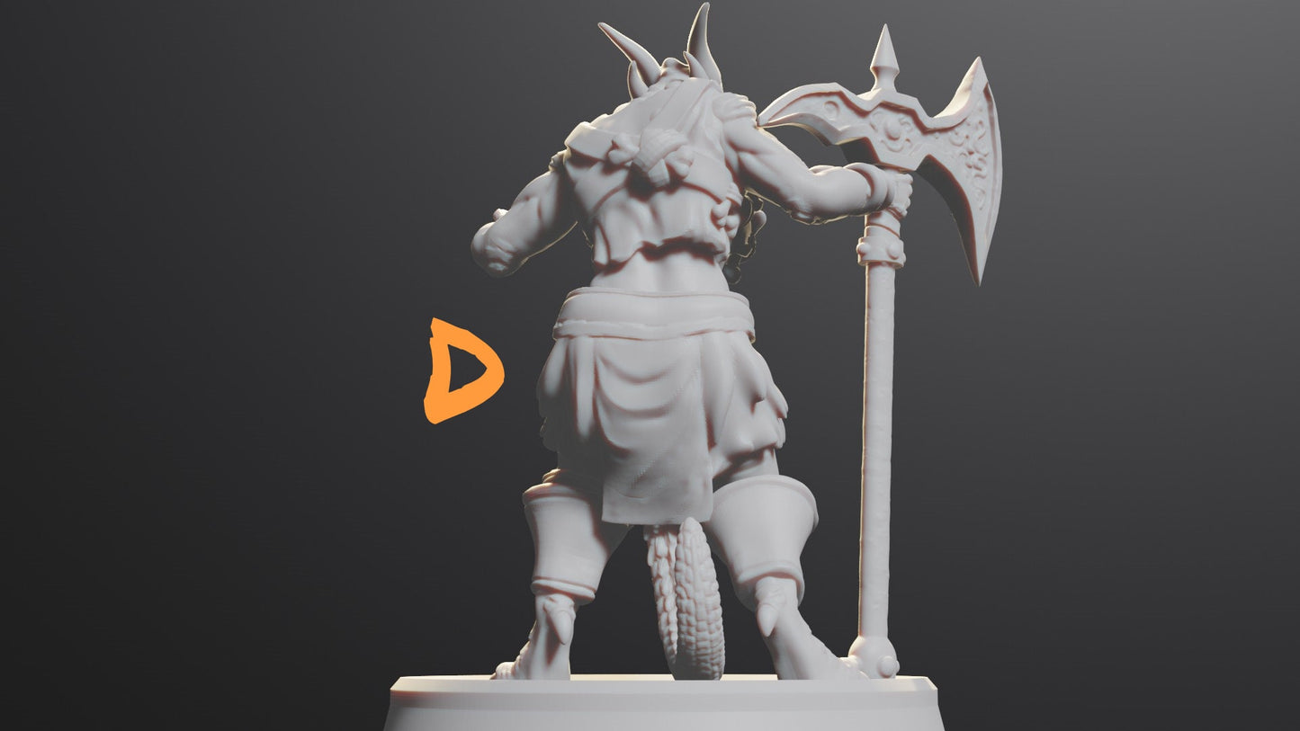 Dragonborn Female Barbarian | Fighter Tabletop Miniature for Dungeons and Dragons | Pathfinder | DND