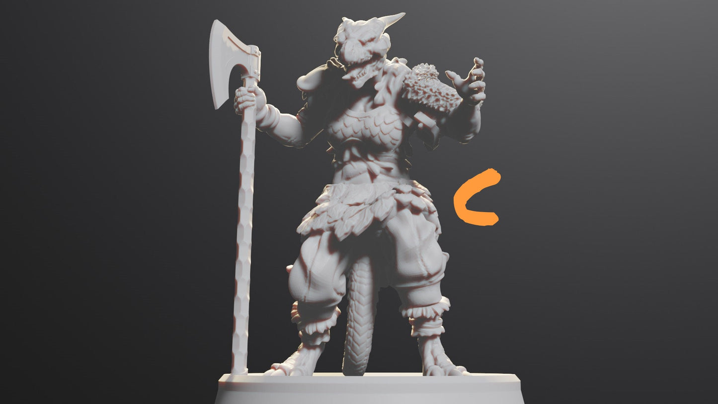 Dragonborn Female Barbarian | Fighter Tabletop Miniature for Dungeons and Dragons | Pathfinder | DND
