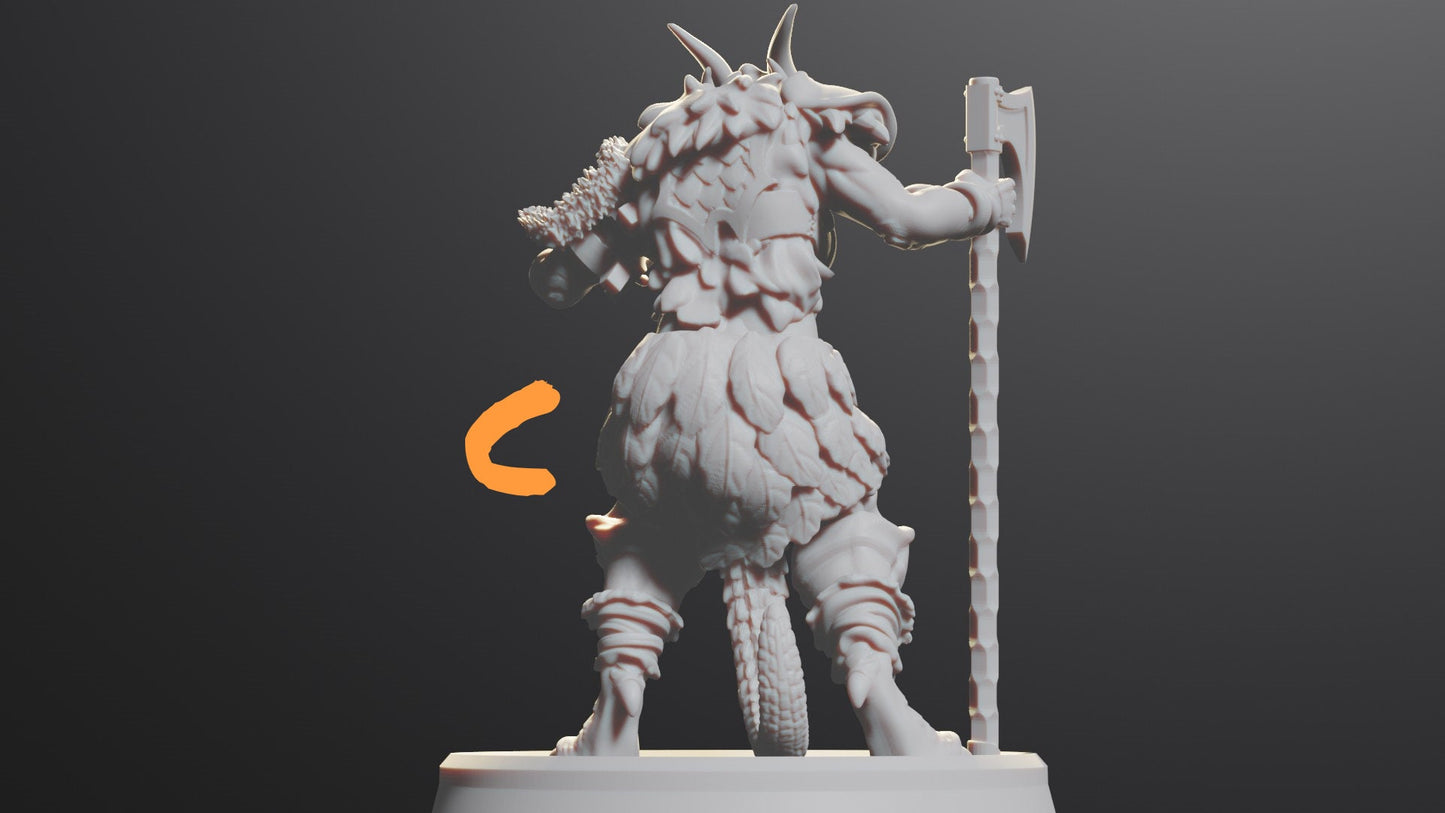 Dragonborn Female Barbarian | Fighter Tabletop Miniature for Dungeons and Dragons | Pathfinder | DND