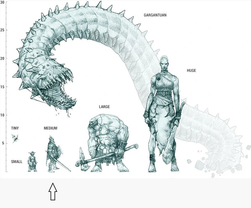 Dwarf Cleric | Paladin | Fighter -Tors Levelled- Tabletop Miniature for Dungeons and Dragons | Pathfinder | DND