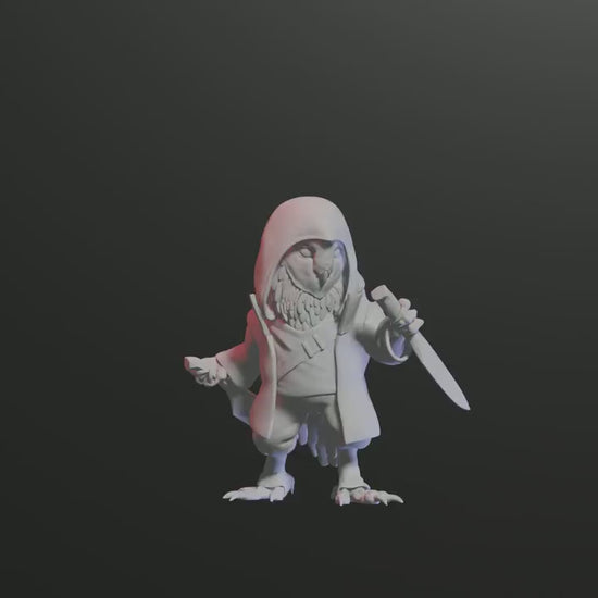 Owlin | Owlrakokra | Owlfolk | Aarakokra Rogue | Assassin | Thief Tabletop Miniature for Dungeons and Dragons | Pathfinder | DND