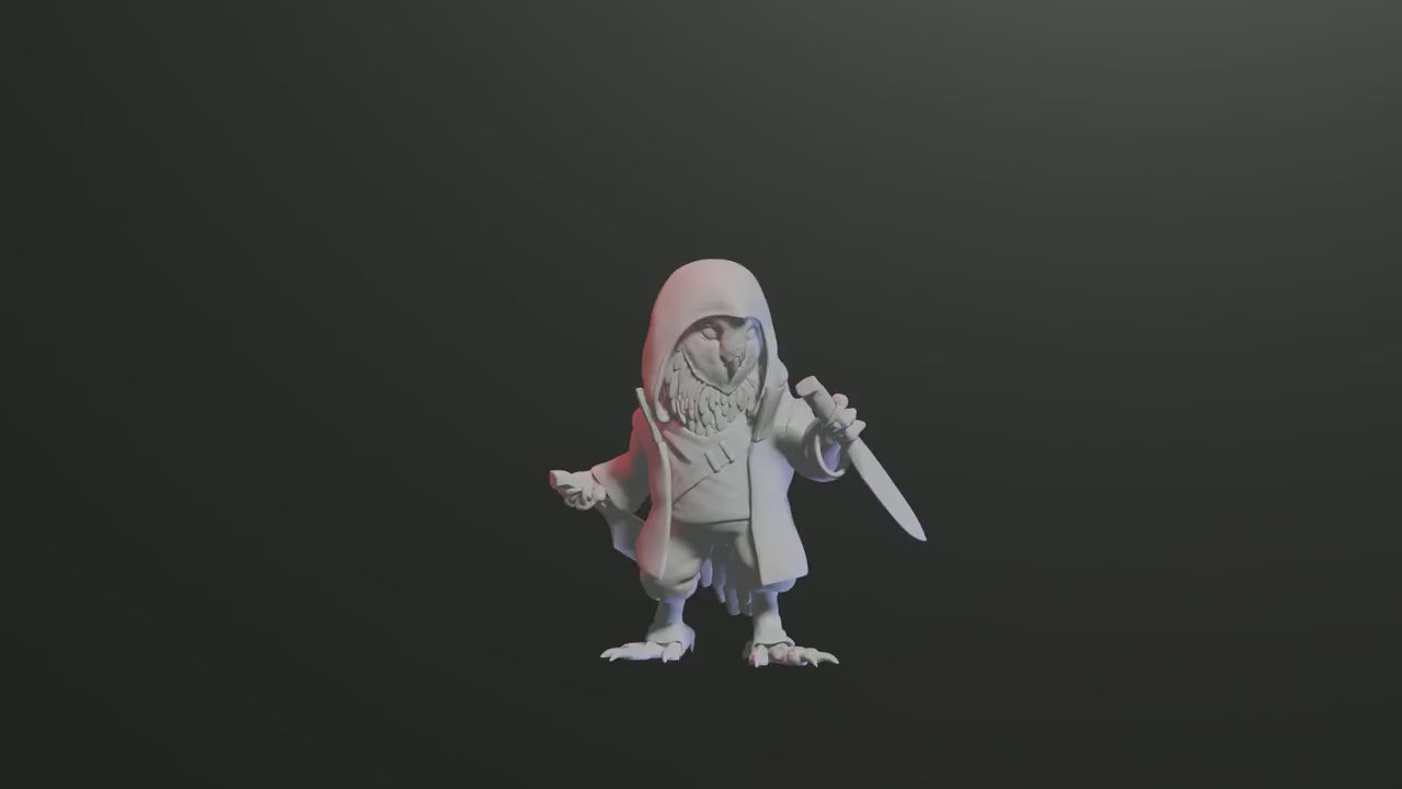 Owlin | Owlrakokra | Owlfolk | Aarakokra Rogue | Assassin | Thief Tabletop Miniature for Dungeons and Dragons | Pathfinder | DND