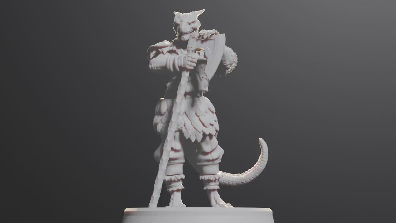 Dragonborn Female Barbarian | Fighter Tabletop Miniature for Dungeons and Dragons | Pathfinder | DND